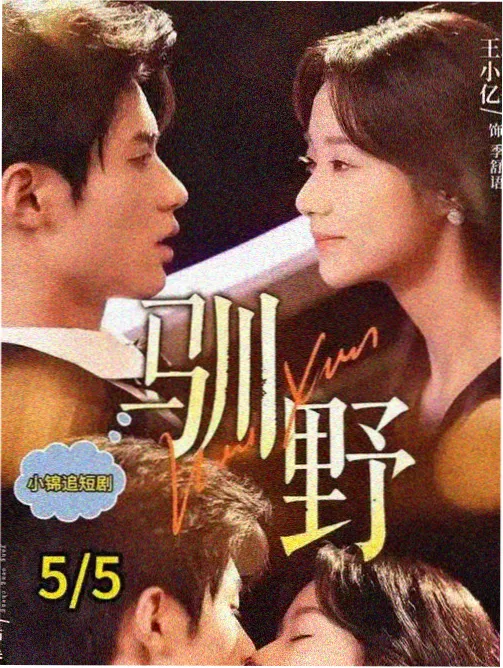 深夜阅读时段与题材偏好